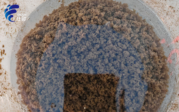 青島仕駿-污泥調(diào)理劑,污泥脫水增效劑制造商 青島仕駿-污泥調(diào)理劑,污泥脫水增效劑制造商