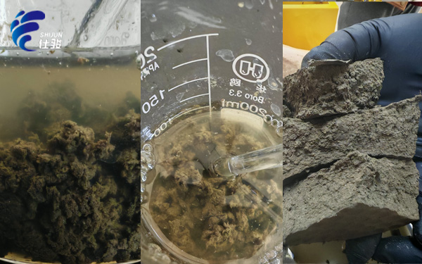 青島仕駿-污泥調(diào)理劑,污泥脫水增效劑制造商