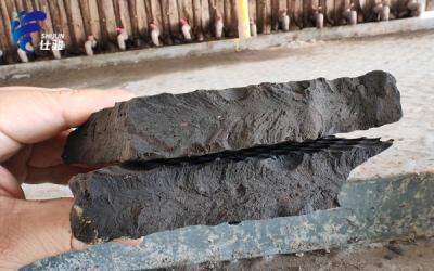 為什么污泥壓濾機壓不干且稀，還粘濾布？-青島仕駿