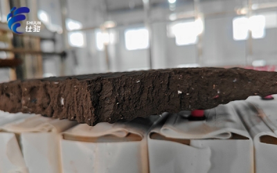 污泥增效劑助力環保事業，提高脫水效率、縮短周期-青島仕駿