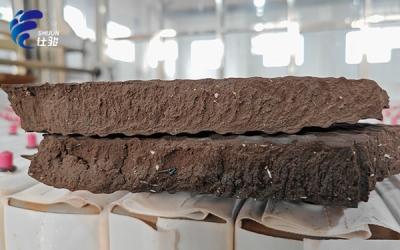 污泥增效劑解決板框壓泥&ldquo;溏心&rdquo;,泥餅含水率高問題-青島仕駿