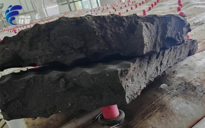 污泥增效劑助力造紙污泥深度脫水-青島仕駿