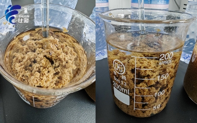 剖析工業污泥深度脫水藥劑如何選擇-青島仕駿